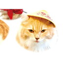 ネコス キュートなねこの世界旅行 5:ベトナム グレイ・パーカー・サービス BOXフィギュア 猫 かぶりもの