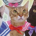 ねこのセーラー服 2:ピンク×赤 クオリア ペット用品 ガチャポン ガチャガチャ ガシャポン
