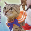 ねこのセーラー服 3:オレンジ×青 クオリア ペット用品 ガチャポン ガチャガチャ ガシャポン