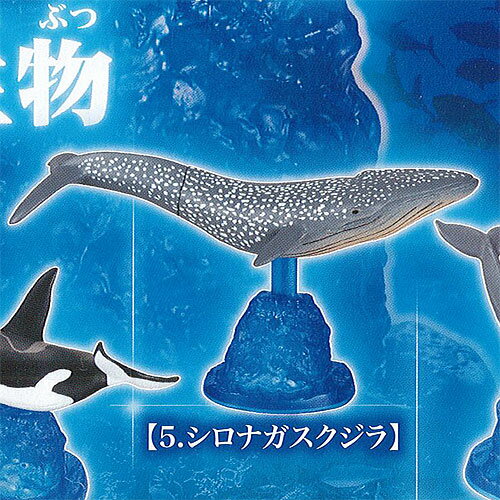 クロマグロ と 海洋生物 5：シロナガスクジラ エポック社 ガチャポン ガチャガチャ ガシャポン