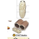 スズメバチ 3:さなぎ 蜂の巣付き エポック社 ミニチュア ガチャポン ガチャガチャ ガシャポン