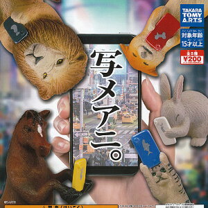 写メアニ。全5種セット6月予約タカラトミーアーツガチャポンガチャガチャガシャポン