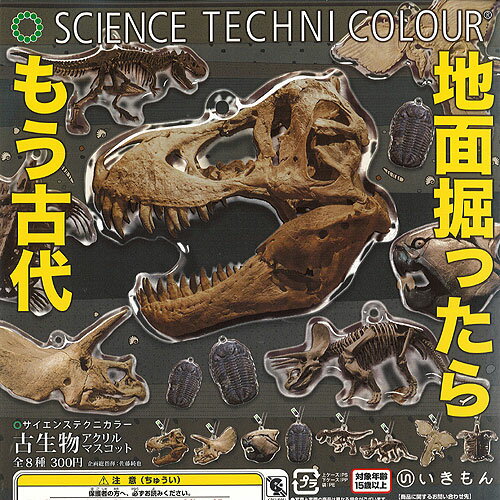 ガチャガチャ - サイエンステクニカラー 古生物 アクリル マスコット 全8種+ディスプレイ台紙セット いきもん ガチャポン ガチャガチャ コンプリート