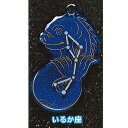 サイエンステクニカラー 夏の星座 蓄光 アクリル マスコット 9:いるか座 いきもん ガチャポン ガチャガチャ ガシャポン