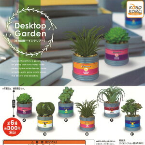 DesktopGarden多肉植物インテリア全6種セット9月予約アイピーフォーガチャポンガチャガチャガシャポン