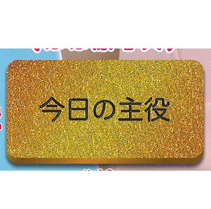 TAMA-KYU 自己主張 バッジ 1:今日の主役 ブシロード ガチャポン ガチャガチャ ガシャポン