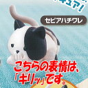 Cup Figure まぐねっこ その5 5:セピアハチワレ キリッ バンダイ ガチャポン ガチャガチャ ガシャポン