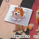 挟まり 犬 3 マスコット ボールチェーン 1:学習帳に挟まり犬 Qualia ガチャポン ガチャガチャ ガシャポン