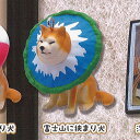 挟まり 犬 3 マスコット ボールチェーン 5:富士山に挟まり犬 Qualia ガチャポン ガチャガチャ ガシャポン
