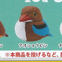 ふっくら 福福 カワセミ 3:アオショウビン 奇譚クラブ ガチャポン ガチャガチャ ガシャポン