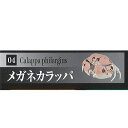 いきもの 大図鑑 かに KANI 4：メガネカラッパ バンダイ ガチャポン ガチャガチャ ガシャポン