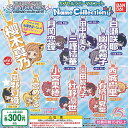 アイドルマスター シャイニーカラーズ カプセル ラバー マスコット Name Collection 全13種セット バンダイ ガチャポン ガチャガチャ コンプリ...