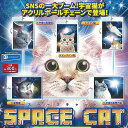 スペース キャット アクリル ボールチェーン 全5種セット レインボー ガチャポン ガチャガチャ コンプリート