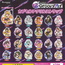 D4DJ Groovy Mix カプセル アクリル ストラップ 全24種+ディスプレイ台紙セット ブシロード ガチャポン ガチャガチャ コンプリート
