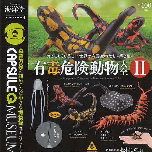 ���ץ���Q �ߥ塼������ ͭ�� ���� ưʪ ���� 2 ��5��+�ǥ����ץ쥤��楻�å� ����Ʋ ������ݥ� �����㥬���� ����ץ꡼��