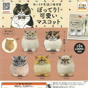 世にも不思議な猫世界 ぽってり 可愛い マスコット 全5種+ディスプレイ台紙セット アイピーフォー ガチャポン ガチャガチャ コンプリート
