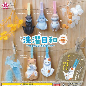 洗濯日和キレイになるって気持ちいい全5種セット8月予約エール動物フィギュアガチャポンガチャガチャガシャポン