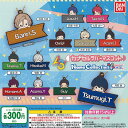 A3 カプセル ラバー マスコット Name Collection vol.2 全12種+ディスプレイ台紙セット バンダイ ガチャポン ガチャガチャ コンプリー...