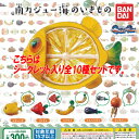 南カジュー 海のいきもの シークレット入り 全10種セット バンダイ ガチャポン ガチャガチャ コンプリート
