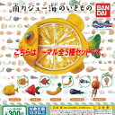 南カジュー 海のいきもの ノーマル 全5種セット バンダイ ガチャポン ガチャガチャ ガシャポン