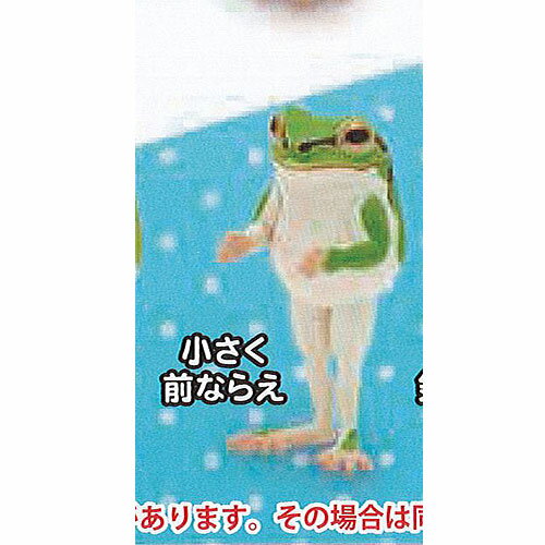 並べ隊 整列 アマガエル 3：小さく前ならえ 奇譚クラブ ガチャポン ガチャガチャ ガシャポンのサムネイル