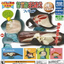 こどもの辞典 大百科 なかみまるみえ フィギュア 骨の仕組み 編 全4種セット タカラトミーアーツ ガチャポン ガチャガチャ コンプリート