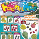 超リアル ミニチュア トロピカル フルーツ 全8種+ディスプレイ台紙セット レインボー ガチャポン ガチャガチャ コンプリート