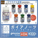 ガイアノーツ ミニチュア キーチェーン 全8種セット SO-TA ガチャポン ガチャガチャ コンプリート