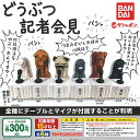 どうぶつ 記者会見 全6種+ディスプレイ台紙セット バンダイ ガチャポン ガチャガチャ コンプリート