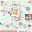 PUI PUI モルカー 並べて 可愛い アクリル マスコット 全7種セット アイピーフォー ガチャポン ガチャガチャ コンプリート