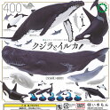 ネイチャーテクニカラー400クジラとイルカ全6種セットいきもんガチャポンガチャガチャガシャポン