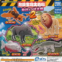 危険生物大百科 最凶 VS 決定戦 2 全5種+ディスプレイ台紙セット タカラトミーアーツ ガチャポン ガチャガチャ コンプリート