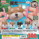 ぷにゅぷにゅ ほっぺ もちもち 柴犬 マスコット 全5種セット トイズスピリッツ ガチャポン ガチャガチャ コンプリート
