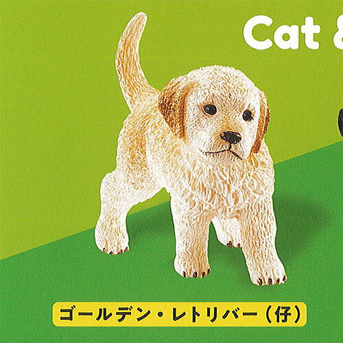 カプセル シュライヒ キャット＆ドッグ CAPSULE SCHLEICH Cat＆Dog 1：ゴールデン レトリバー(仔) ケンエレファント ガチャポン ガチャガチャ ガシャポン
