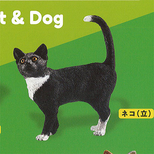 カプセル シュライヒ キャット＆ドッグ CAPSULE SCHLEICH Cat＆Dog 2：ネコ 立 ケンエレファント ガチャポン ガチャガチャ ガシャポン