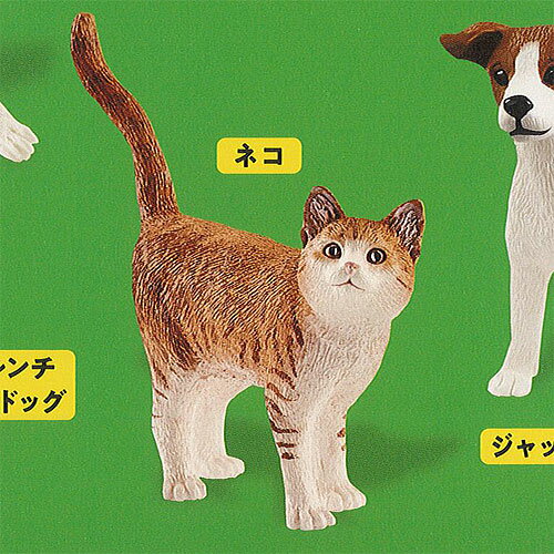 カプセル シュライヒ キャット＆ドッグ CAPSULE SCHLEICH Cat＆Dog 7：ネコ ケンエレファント ガチャポン ガチャガチャ ガシャポン