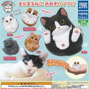 まんまるどうぶつ まんまる ねこ おおきい ソフビ 全5種セット タカラトミーアーツ ガチャポン ガチャガチャ コンプリート