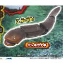 危険生物 大百科 接近 注意報 4:デンキウナギ タカラトミーアーツ ガチャポン ガチャガチャ ガシャポン