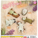 すやすや おねむ 全5種セット エール ガチャポン ガチャガチャ コンプリート