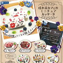 隠れ家カフェ の ミニチュア カッサータ 全6種セット レインボー ガチャポン ガチャガチャ コンプリート