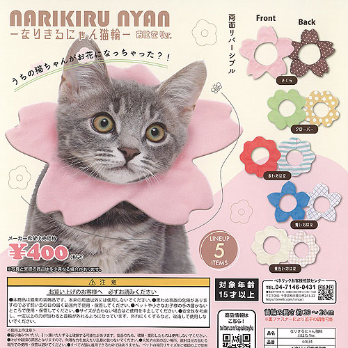 �ʤ꤭��ˤ�� ǭ�� ���Ϥ� Ver ��5��+�ǥ����ץ쥤��楻�å� �٥ͥ�å� ������ݥ� �����㥬���� ����ץ꡼��