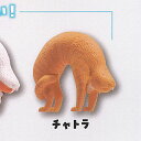 猫 ブリッジ もう猫背とは言わせない 3:チャトラ エール ガチャポン ガチャガチャ ガシャポン