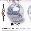 TAMA-KYU あかにゃい ver.2 1:サバトラ ブシロード ガチャポン ガチャガチャ ガシャポン
