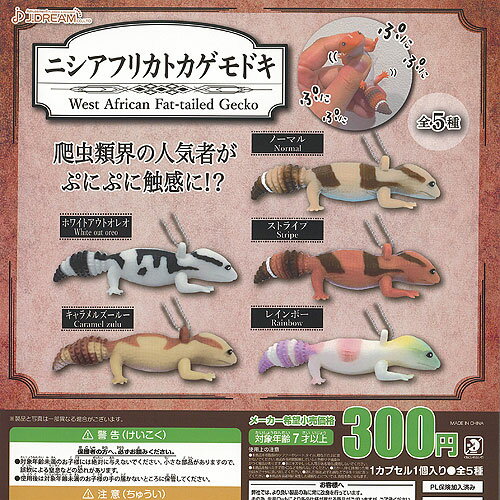 ニシアフリカ トカゲモドキ 全5種+ディスプレイ台紙セット J.DREAM ガチャポン ガチャガチャ コンプリート