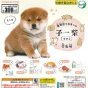 無邪気 で かわいい 子柴 その2 全6種+ディスプレイ台紙セット ターリンインターナショナル ガチャポン ガチャガチャ コンプリート