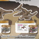 恐竜 缶 2 6:プテラノドン(ブラウン) ターリンインターナショナル ガチャポン ガチャガチャ ガシャポン