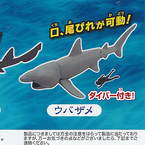 あそべる 生物フィギュア シリーズ 青き海の世界 ザ シャーク シロワニ あらわる 4：ウバザメ タカラトミーアーツ ガチャポン ガチャガチャ ガシャポン