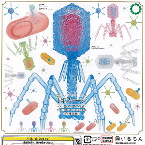 サイエンステクニカラー T4ファージ マスコット ＆ ボールチェーン 全8種+ディスプレイ台紙セット いきもん ガチャポン ガチャガチャ コンプリート