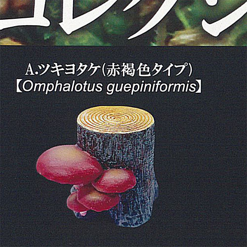 樹木のきのこ コレクション vol.1 1：ツキヨタケ 赤褐色タイプ レインボー ガチャポン ガチャガチャ ガシャポン