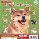 ずーっと いっしょ 柴犬 メタル チャーム 全6種+ディスプレイ台紙セット 石川玩具 ガチャポン ガチャガチャ コンプリート